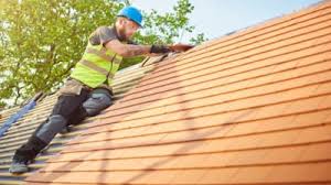 Best Roof Moss and Algae Removal  in Orland Park, IL